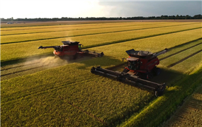 D-SWITCH確立在農(nóng)業(yè)機(jī)械開關(guān)市場的專業(yè)地位, 并擴(kuò)大 agmachine產(chǎn)品系列以滿足新需求